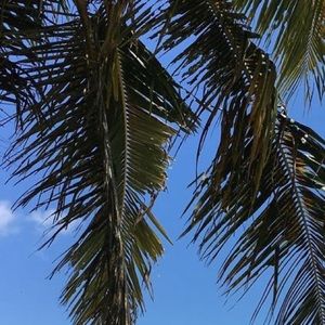 Meet your Posher, Sadiyah